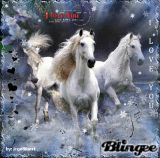 Caballos Blancos