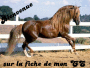 bIENVENUE