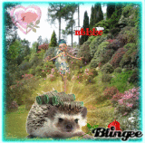 Ich bin wieder da :) / I am back :)