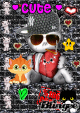 Crazy and Cute Cats