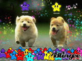 carmynna76 carmynna76