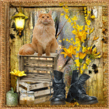 Puss N Boots
