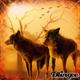 Wolves at Sunset