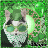 St. Patrick's Day Cat