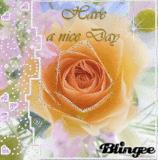 Eine Rose für die Sinne