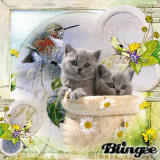 Spring Feeling