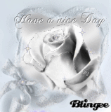 a nice day for you my friend