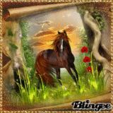Wild horse.