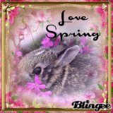°•.ƸӜƷ.•°LOVE SPRING;)