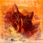 The love beautiful Queen Freya