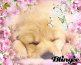 Sleep