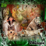 spring time wolfs