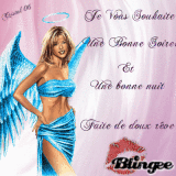 BONNE SOIREE