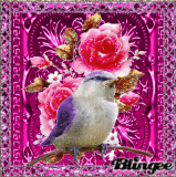 FOR AL MY BLINGEE FRIENDS:)