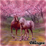 Horse lovers in spring