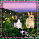 Frühlingswiese mit Kaninchen