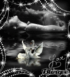 *♥ Dulce an0checer ♥*