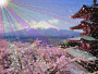 japon scintillant