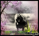 ¡¡ El llamado de la Selva ¡¡