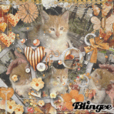 Mii GatiithO JunniOr by ♥sαяι♥ princes