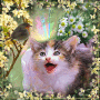 Awh you whisle so spring 