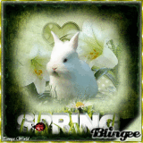 happy spring