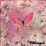 Pink flowers and butterflies!!!!!!!!!!!!!!!