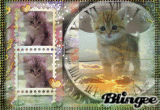 chaton