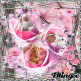 Flower Babys