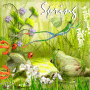 Spring Frogs