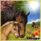 Horses in spring