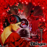 The Flamingo Lady!!!