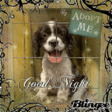 Good night my dear friend