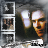 Damon & Elena