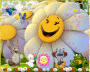 happy spring happy spring