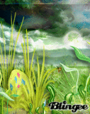grass