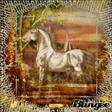 Horse White Colour 2012