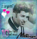 zayn XD <3