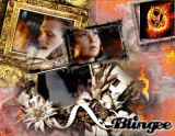 The Girl On Fire - The Hunger Games 