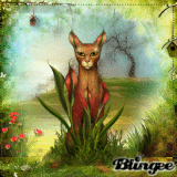 fantasy cat spring