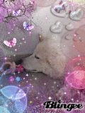 CHICCA