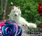 Flowery Wolf