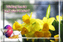 "egg"cellent easter to all...