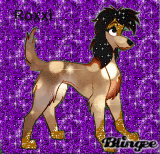 Roxxi