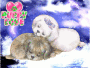puppy lover
