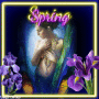 spring iris woman spring iris woman