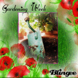 Gardening Week Achievement Blingee