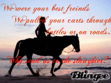 Stop Horse Slaughter!