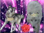 Wolves