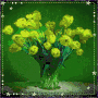 fiori